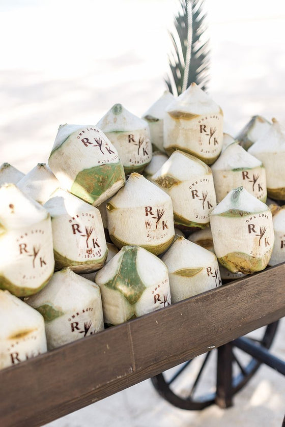 Coconut Bar