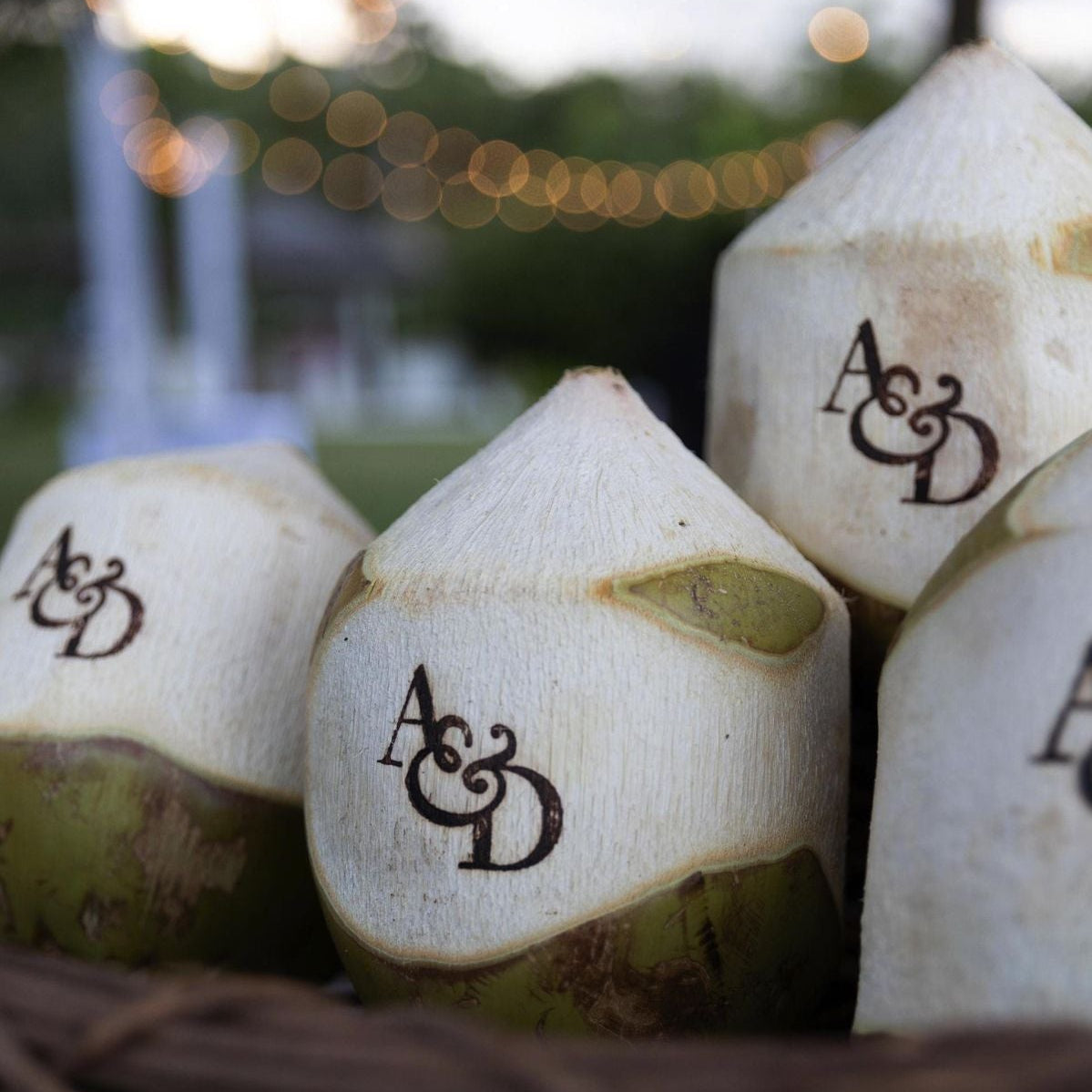 COCOS PR gallery image